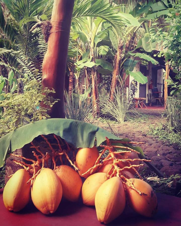 La Urraca Loca Hostel Balgue Luaran gambar